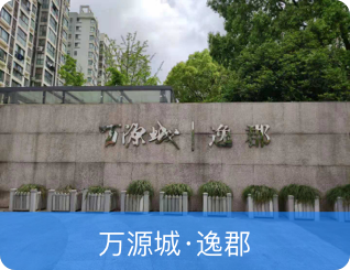 wgsq 